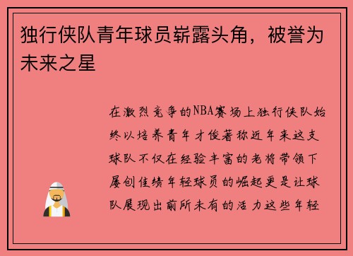 独行侠队青年球员崭露头角，被誉为未来之星